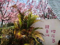 -福建鲤鱼洲酒店