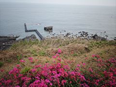 -涠洲岛火山国家地质公园