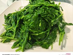 -正兴蜀园(科技园区店)