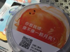 乐纯咸蛋黄味三三三倍酸奶-乐纯(苹果社区店)