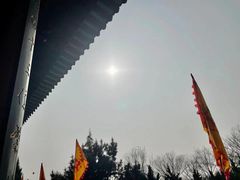 -大槐树寻根祭祖园