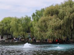 -百脉泉景区