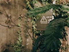-院子餐厅·大锅菜·老杭帮(桥西直街店)