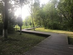 -长广溪湿地公园