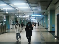 -宋家庄(地铁站)