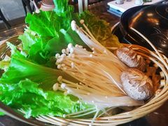 -同仁四季椰子鸡(海岸城天利店)