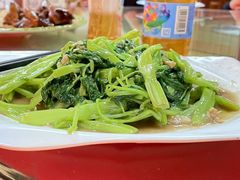 -金麒麟美食城