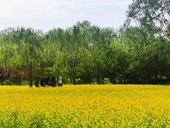 -北坞公园