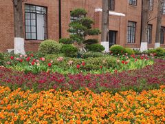 -星巴克(上海交通大学店)