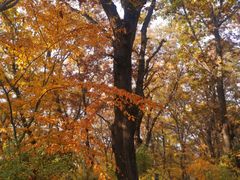 -终南山南五台景区