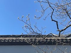-胡雪岩故居