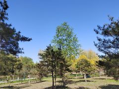 -东郊湿地公园