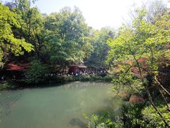 -岳麓山风景名胜区