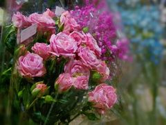 -AEON永旺(东方宝泰店)