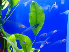 -上海海洋水族馆