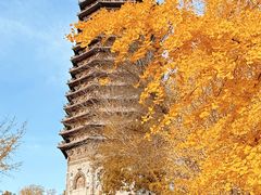 -玲珑塔公园