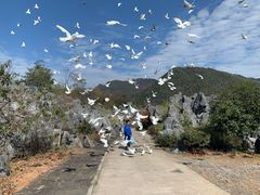-千岛湖石林