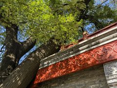 -春风习习