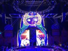 -俄罗斯国家大马戏团