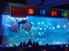 -石林冰雪海洋世界