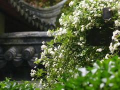 -汇龙潭