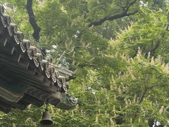 -潭柘寺景区