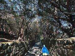 -普陀山慧济禅寺