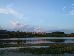 -七彩云南茶(七彩云南第壹城店)