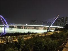 -南京眼步行桥