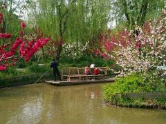 -南汇桃花村