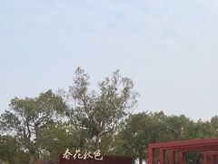 -春花秋色城市公园
