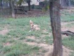 android_upload_pic-西安秦岭野生动物园