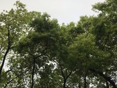 -协和菜馆(凤凰街店)