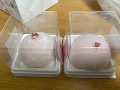 -DEMO黛慕蛋糕(中泰店)