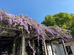 -西园戒幢律寺