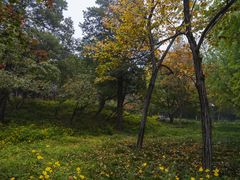 -香山公园