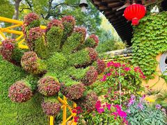 -惠山古镇·寄畅园