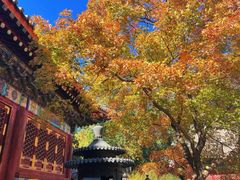 -香山公园