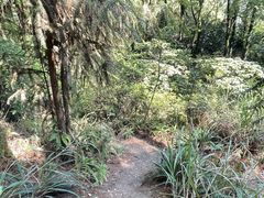 -南山植物园