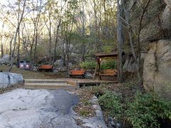 -大岭沟猕猴桃谷风景区