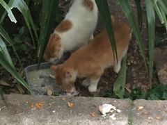 -晓港公园