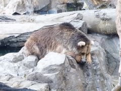 -珠海长隆海洋王国