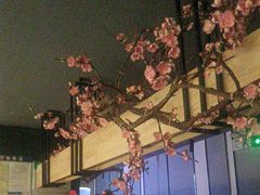 -老板恋上鱼(环山路店)
