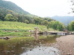 -广州市石门国家森林公园