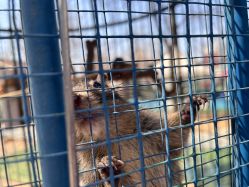 -萌宠亲子动物乐园(槐房万达店)