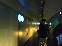 -白鹤梁水下博物馆