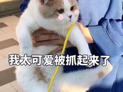 -果渊斋老米家泡馍馆(学诚广场店)