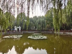 -石刻园