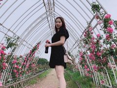 -杭州湾海上花田景区