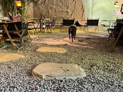 -J Create城市露营咖啡·简餐·宠物(上海动物园店)